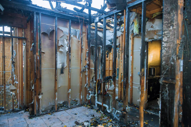 Professional Fire Damage Removal technician working in Jermyn, PA